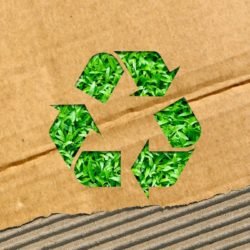 The Ultimate Guide to Eco-Friendly Packaging