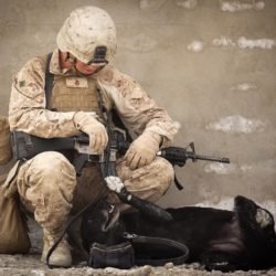 tips shipping military care packaging